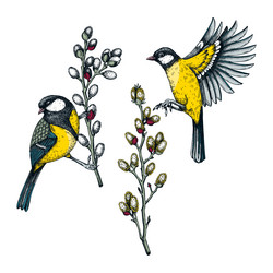 Tits Vector Images (over 2,600)