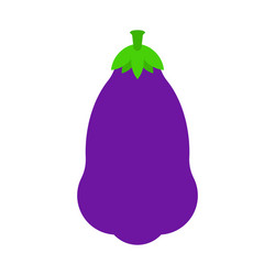 eggplant purple vegetable isolated food vector