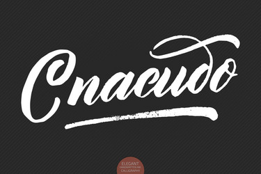 Grunge hand drawn lettering thanks vector