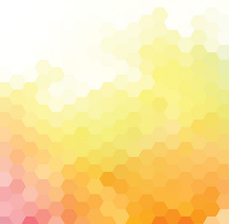 Bright Hexagonal Grid Pattern vector image