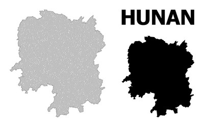 polygonal carcass mesh high resolution map vector image