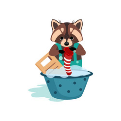 raccoon washes clothes on the washboard Vector Image