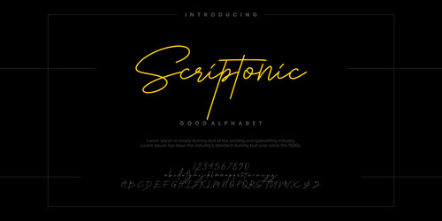 scriptonic modern minimal abstract alphabet fonts vector image