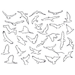 birds fly south Vector Image