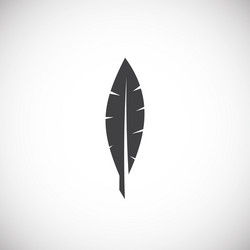 feather icon on background for graphic and web vector image