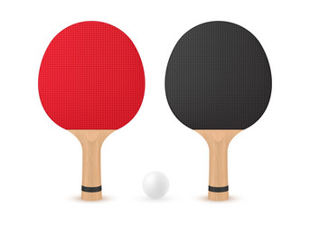 two table tennis rackets with ball vector