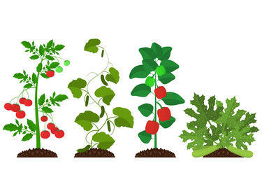 Cartoon color plants farm icon set vector