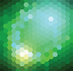 Shimmering Hexagonal Pattern vector image