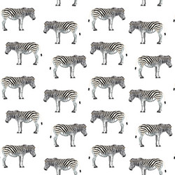 Zebra Pattern Background vector image