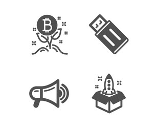 megaphone bitcoin project and usb flash icons vector image