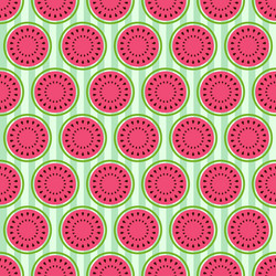 Seamless pattern with watermelons vector