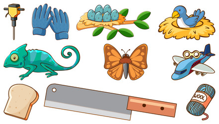 different objects and animals on white background vector image