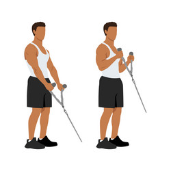 man doing cable hammer bicep curls exercise vector image