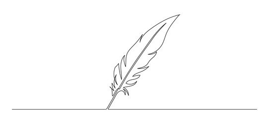 one continuous line drawing of bird feather vector image