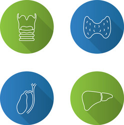 Internal organs flat linear long shadow icons set vector