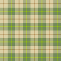 Seamless pattern scottish cage vector