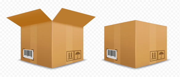 set open and closed cardboard boxes template vector image