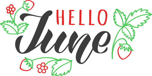 Hello june hand drawn lettering card vector