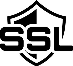 SSL Security Shield Icon vector image