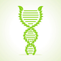 DNA Strand with Leaf Motif vector image