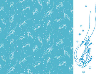 shrimps seamless pattern motif white color linear vector image