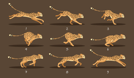 Leopard Run Cycle Animation vector image