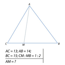 problem of determining vector image