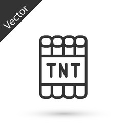 grey line detonate dynamite bomb stick and timer vector image