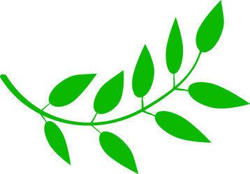 Simple green branch leaf vector