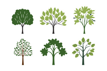 set of tree in simple style isolated on white vector image