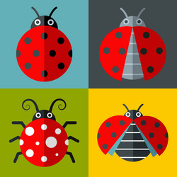 Ladybug icons in flat style on color background vector