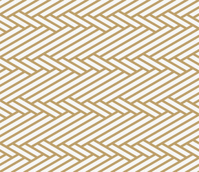 Geometric seamless pattern with line modern Vector Image