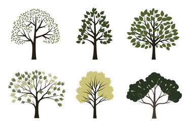 set of tree in simple flat style isolated vector image