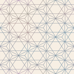 Geometric Hexagon Mesh Pattern vector image