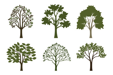 Set of tree in simple flat style isolated vector