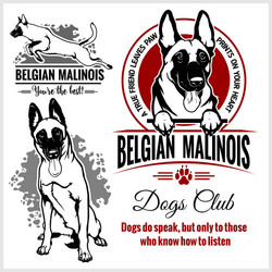 Belgian Malinois Dog Portrait Vector Image