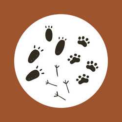 boho collection with animal foot print Vector Image