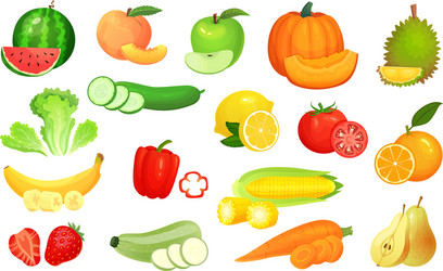 Sliced Fruits and Vegetables vector image