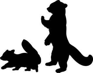 Red Panda Silhouette Duo Vector Image