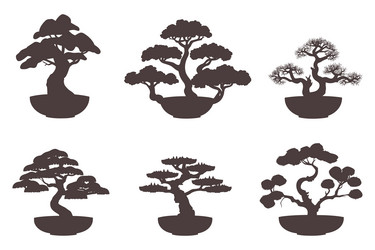 set of bonsai tree isolated on white background vector image