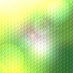 blurred background with pattern vector image