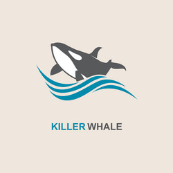 killer whale icon vector