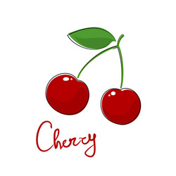 Red cherry isolated on white background vector