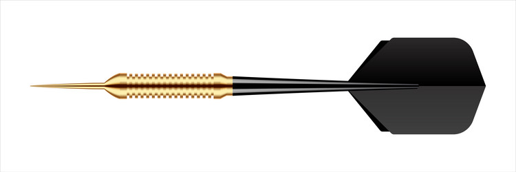dart arrow with metal tip and shadow vector image