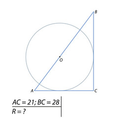 Pythagorean Theorem Triangle Problem vector image