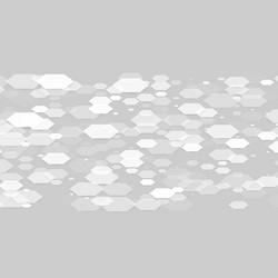 Modern Hexagonal Pattern vector image
