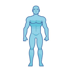 Naked Muscular Build Man Vector Images (52)