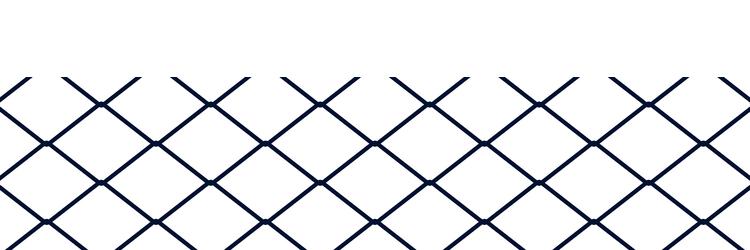 seamless net pattern with fishnet and honeycomb vector image