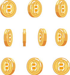 Bitcoin Rotation Coin Animation vector image