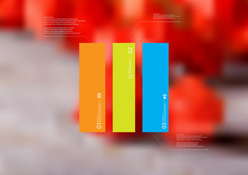 infographic template with rectangle vertically vector image